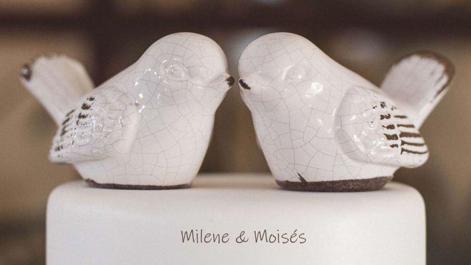 Album do Casamento de Milene e Moises em Getulina-sp