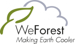 imagem WeForest